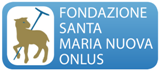 Fondazione Santa Maria icona