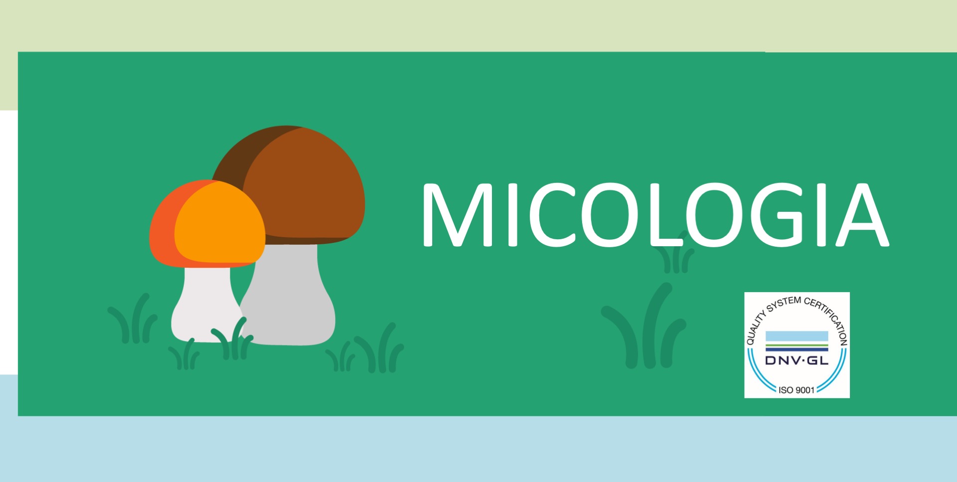 MICOLOGIA